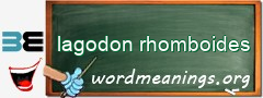 WordMeaning blackboard for lagodon rhomboides